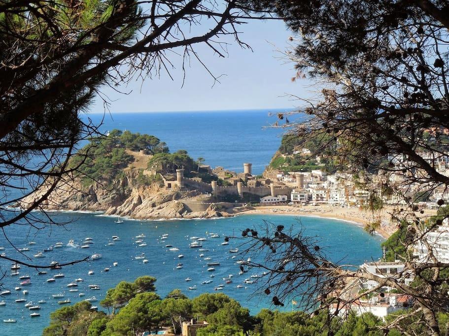 Casa La Coseta Villa Tossa de Mar Exteriör bild